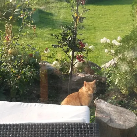 Babie Lato Dostep Do Jeziora Ublik