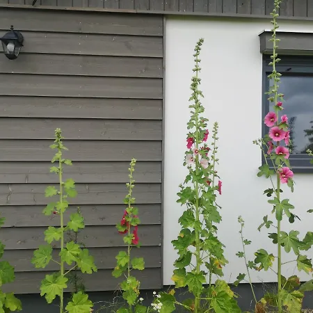 Babie Lato Dostep Do Jeziora Ublik