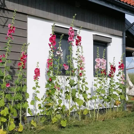 Babie Lato Dostep Do Jeziora Ublik * Konopki Wielkie